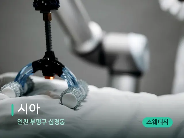 인천 부평구 십정동 시아 — 등·허리 관리 장면
