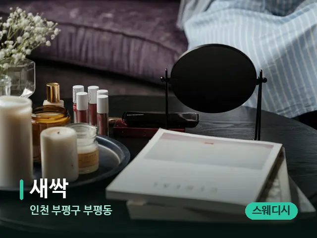 인천 부평구 부평동 새싹 — 데이 스파 인테리어